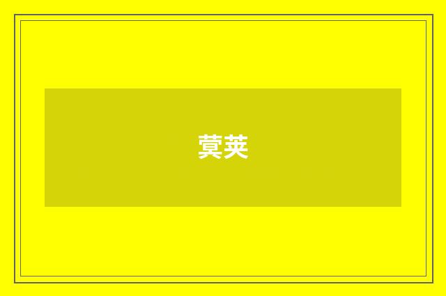 蓂荚