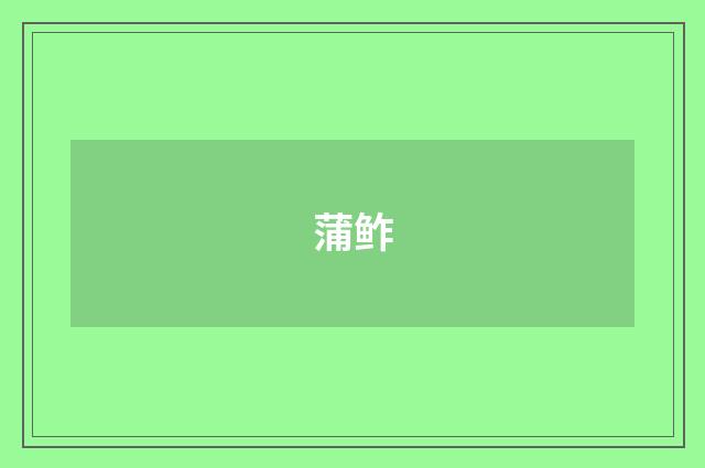 蒲鲊