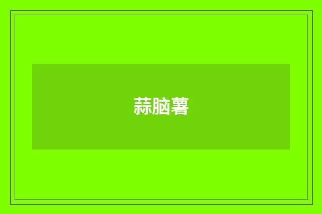蒜脑薯