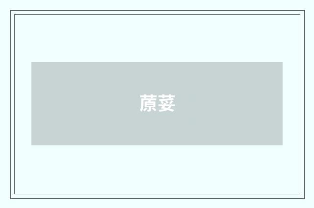 蒝荽