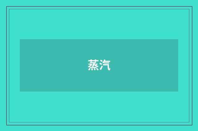 蒸汽