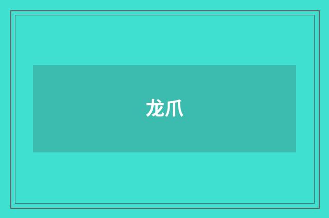 龙爪