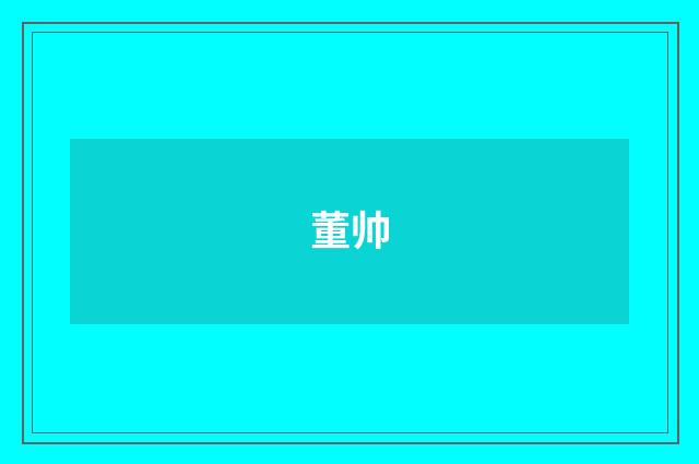 董帅