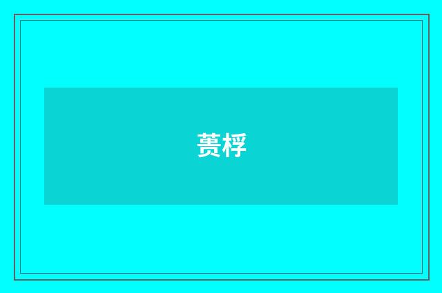 蒉桴