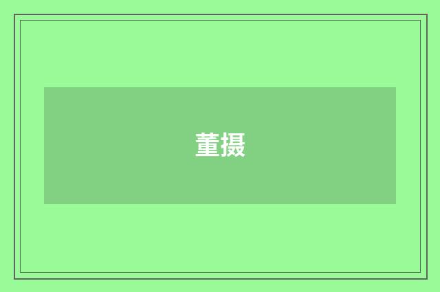 董摄