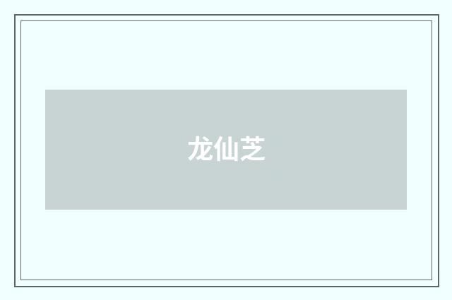 龙仙芝