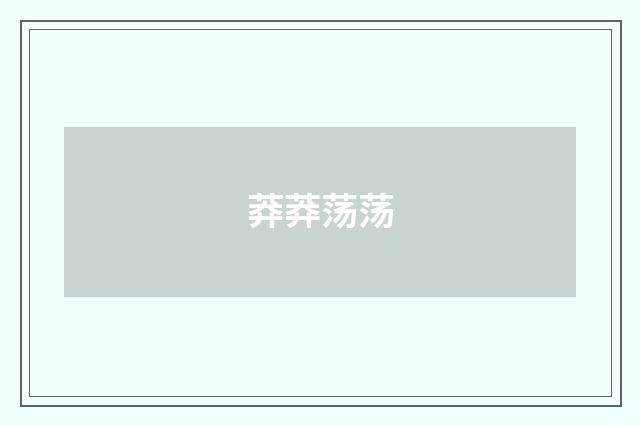 莽莽荡荡