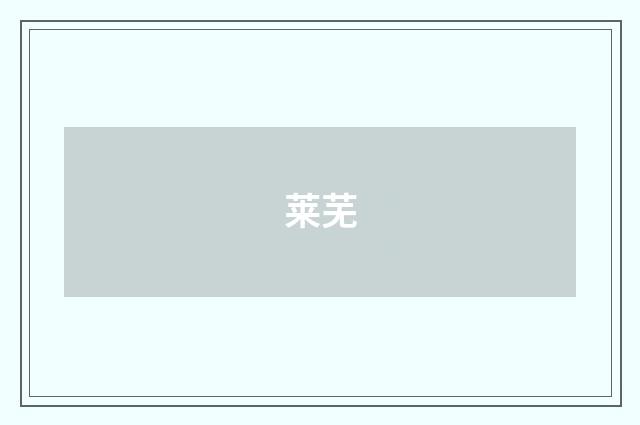 莱芜
