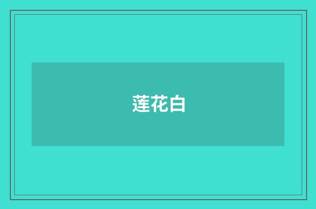 莲花白
