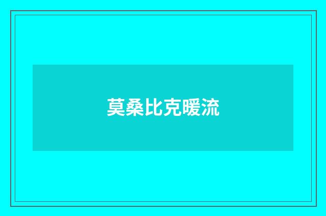莫桑比克暖流