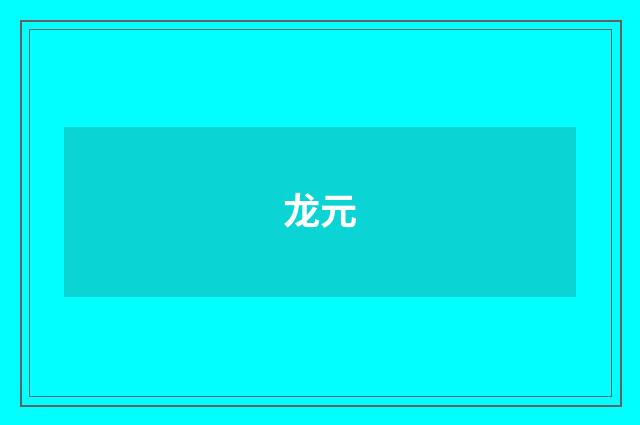 龙元