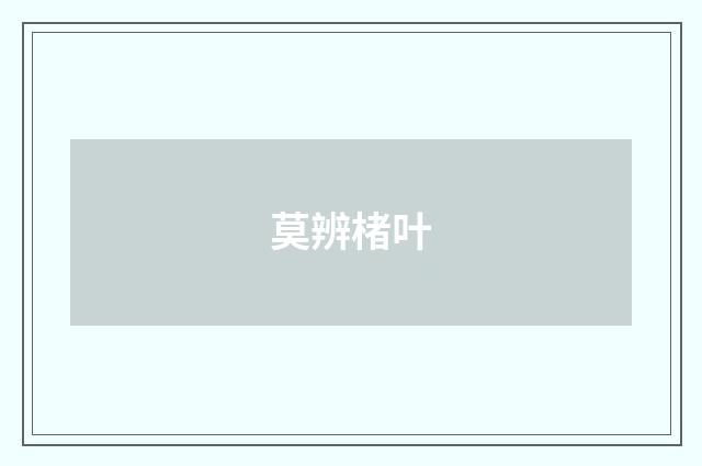 莫辨楮叶