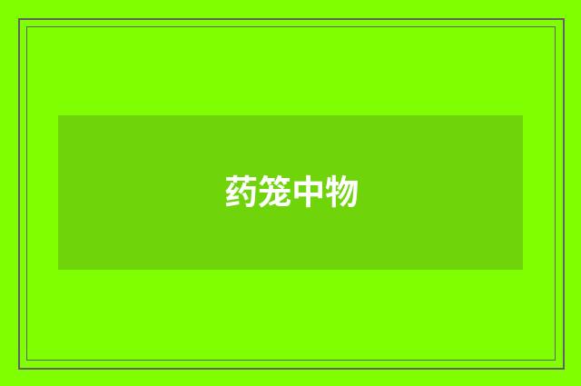 药笼中物