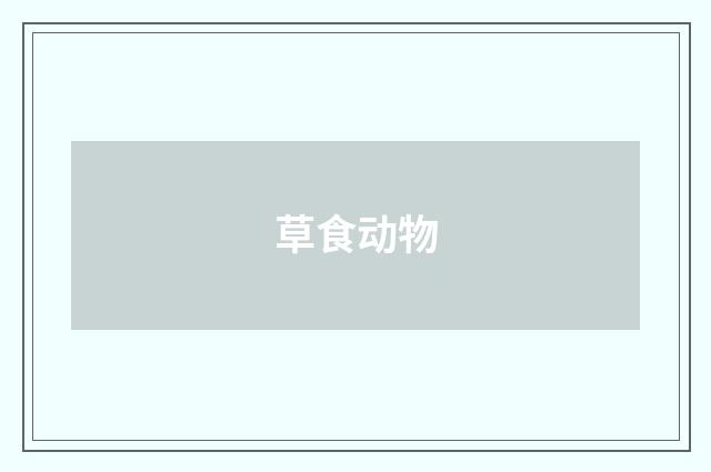 草食动物