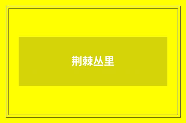 荆棘丛里