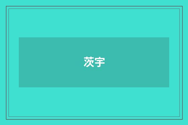 茨宇