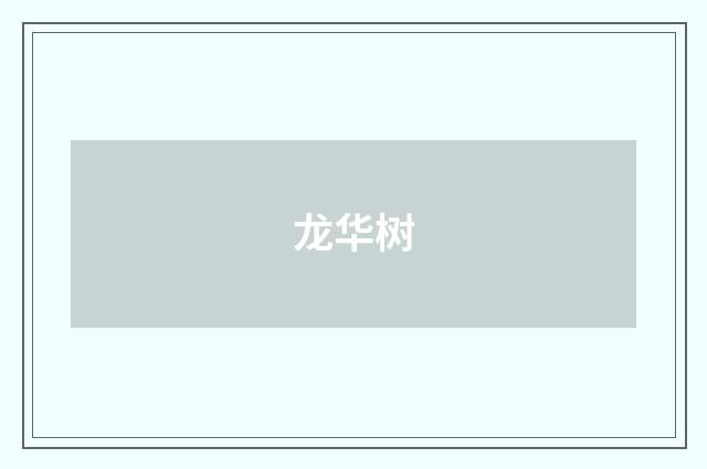 龙华树