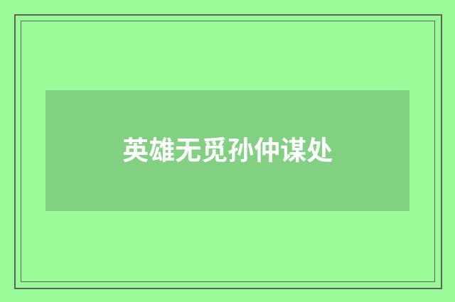 英雄无觅孙仲谋处