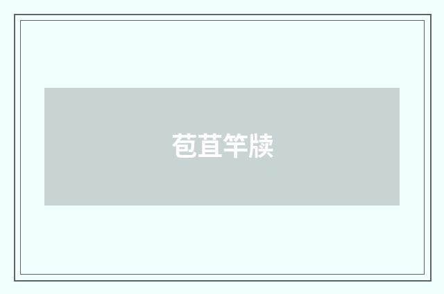 苞苴竿牍