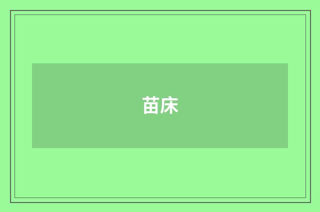 苗床