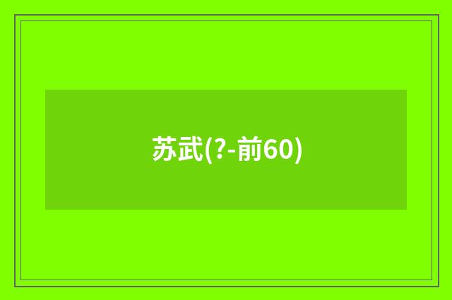 苏武(?-前60)