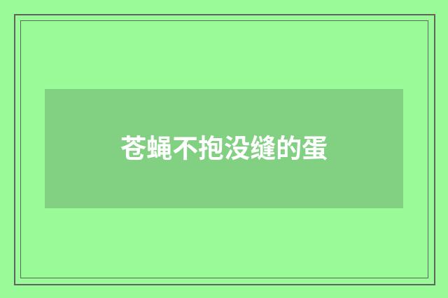 苍蝇不抱没缝的蛋