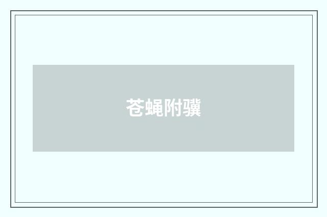 苍蝇附骥