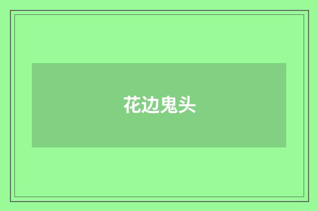 花边鬼头