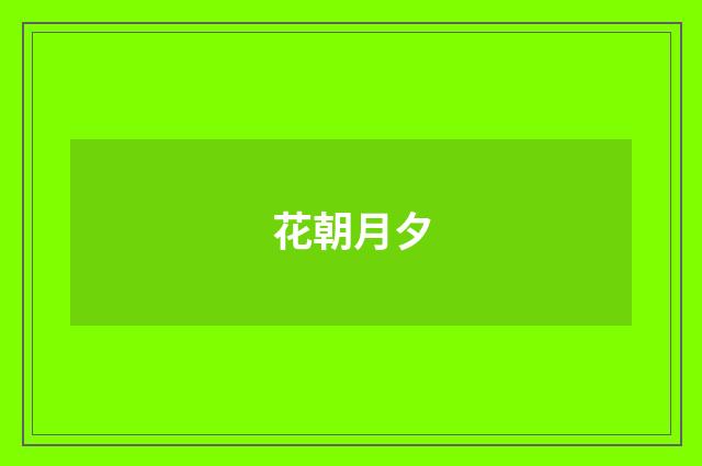 花朝月夕