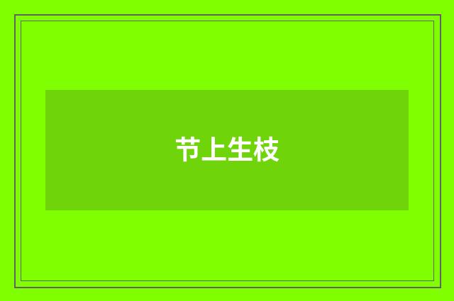 节上生枝