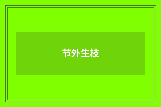节外生枝