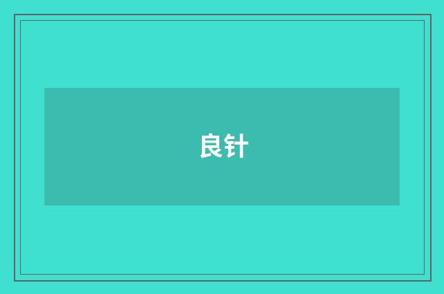 良针