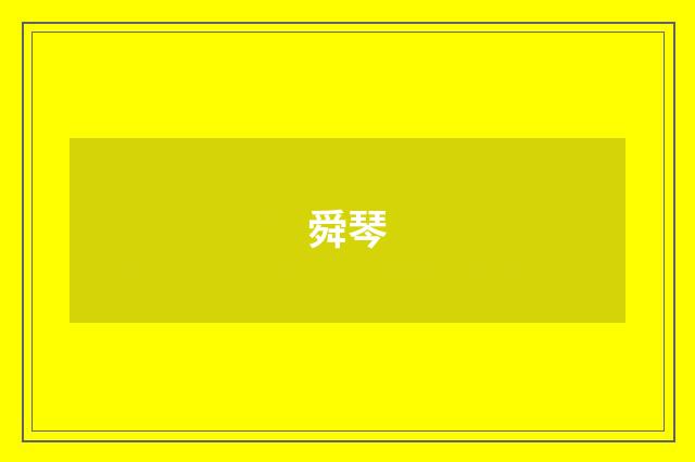 舜琴