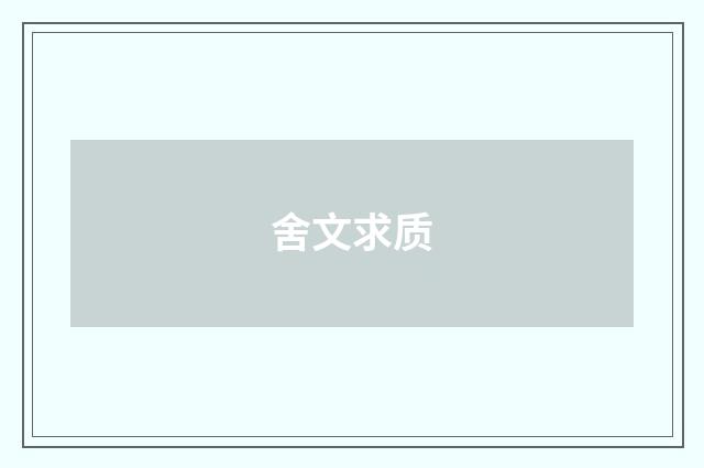 舍文求质