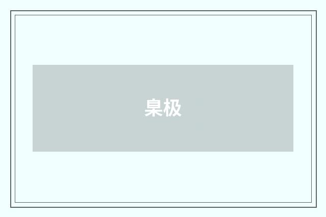 臬极