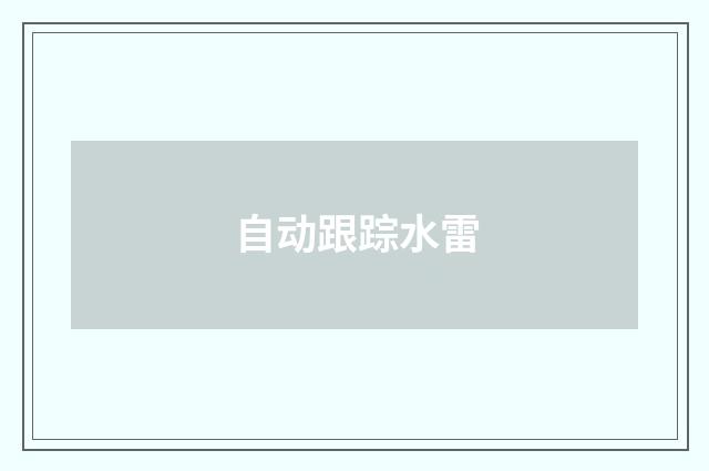 自动跟踪水雷