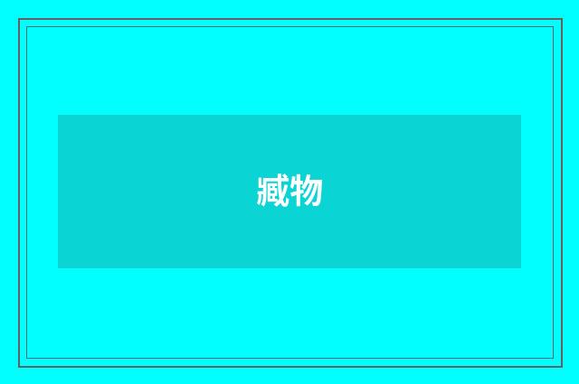 臧物