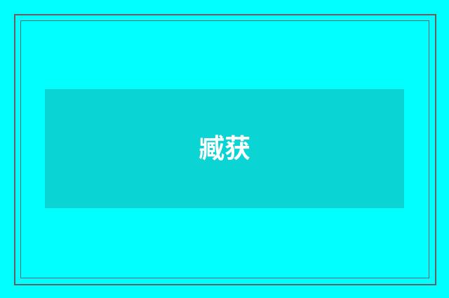 臧获