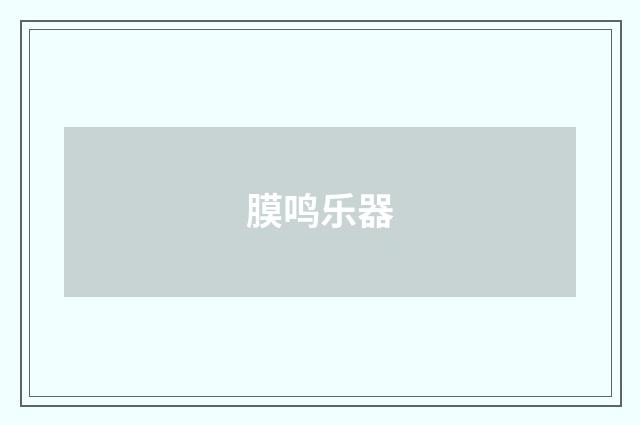 膜鸣乐器