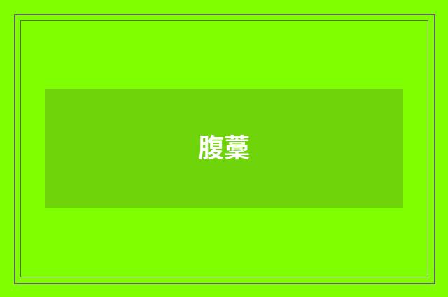 腹藳
