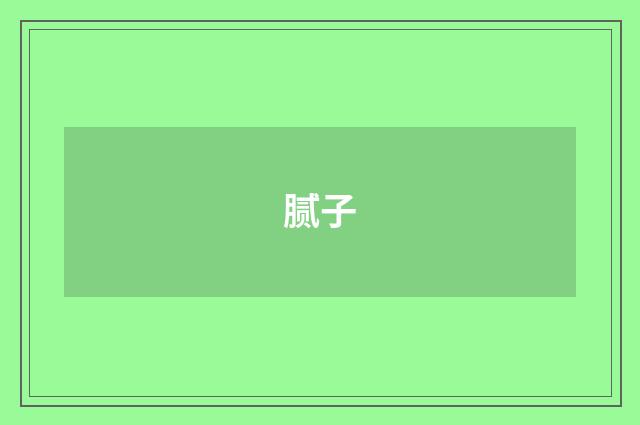 腻子