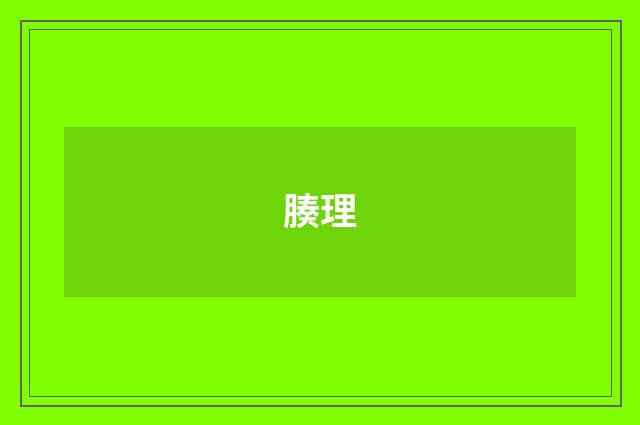 腠理