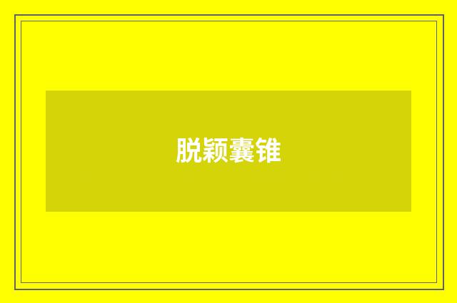 脱颖囊锥