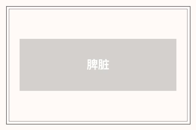 脾脏