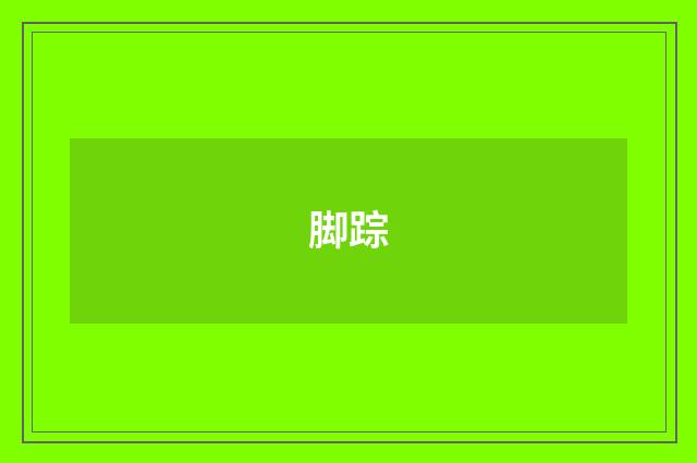 脚踪