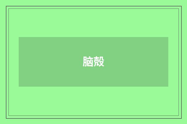 脑殻