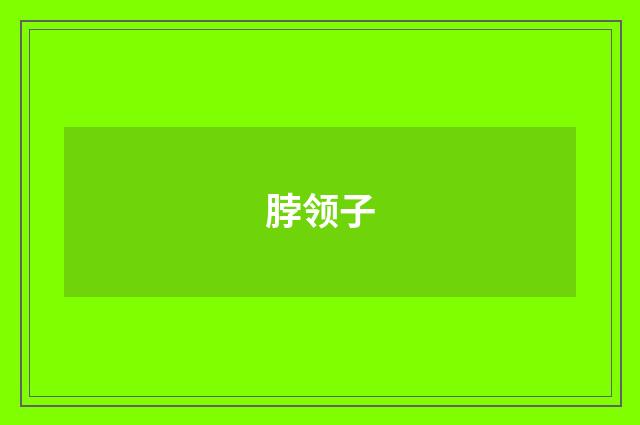 脖领子
