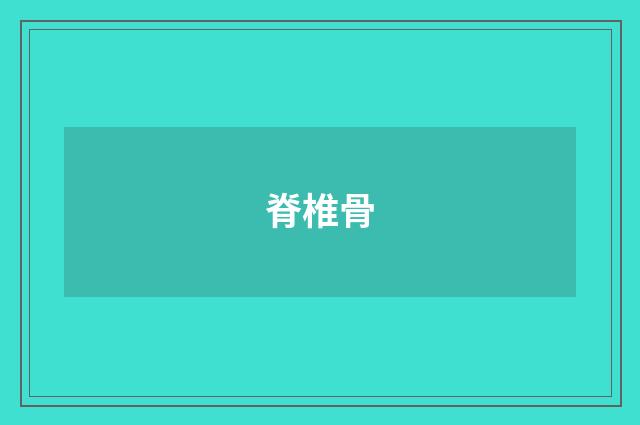 脊椎骨