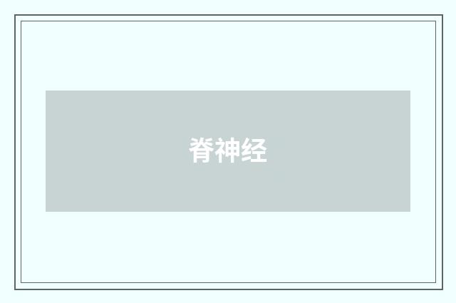 脊神经