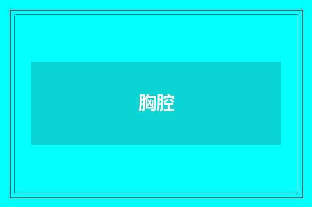 胸腔